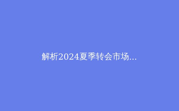 解析2024夏季转会市场：资本博弈与球队重构背后的体育经济学 - 4